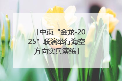 中柬“金龙-2025”联演举行海空方向实兵演练
