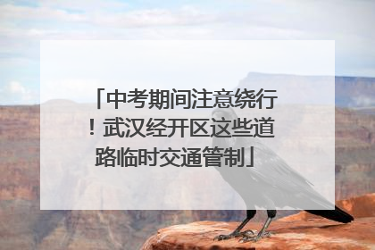 中考期间注意绕行！武汉经开区这些道路临时交通管制