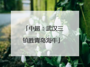 中超：武汉三镇胜青岛海牛
