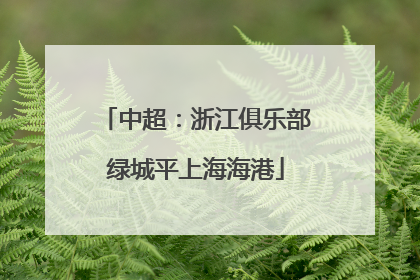 中超：浙江俱乐部绿城平上海海港