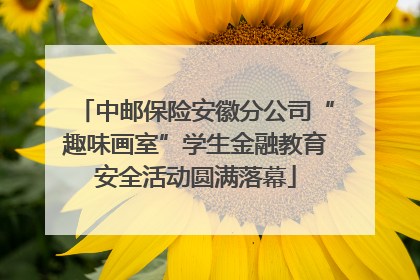 中邮保险安徽分公司“趣味画室”学生金融教育安全活动圆满落幕