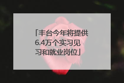丰台今年将提供6.4万个实习见习和就业岗位