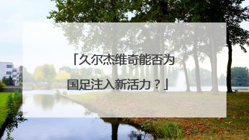 久尔杰维奇能否为国足注入新活力？