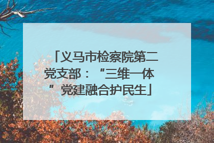 义马市检察院第二党支部：“三维一体”党建融合护民生