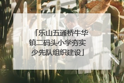 乐山五通桥牛华镇二码头小学夯实少先队组织建设