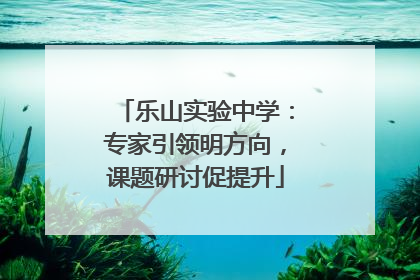 乐山实验中学：专家引领明方向，课题研讨促提升