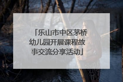 乐山市中区茅桥幼儿园开展课程故事交流分享活动