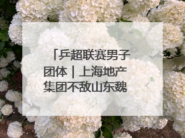 乒超联赛男子团体｜上海地产集团不敌山东魏桥·向尚运动