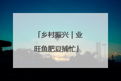 乡村振兴｜业旺鱼肥夏捕忙