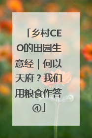 乡村CEO的田园生意经｜何以天府？我们用粮食作答④