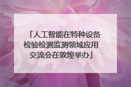 人工智能在特种设备检验检测监测领域应用交流会在敦煌举办