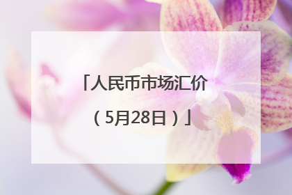 人民币市场汇价（5月28日）