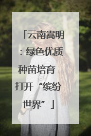 云南嵩明：绿色优质种苗培育 打开“缤纷世界”