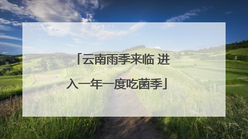 云南雨季来临 进入一年一度吃菌季