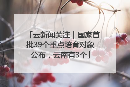 云新闻关注｜国家首批39个重点培育对象公布，云南有3个