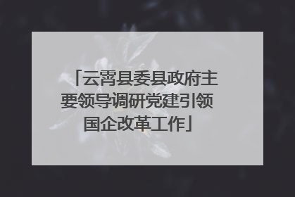 云霄县委县政府主要领导调研党建引领国企改革工作