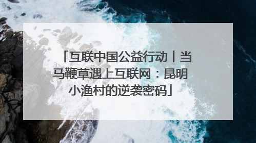互联中国公益行动丨当马鞭草遇上互联网：昆明小渔村的逆袭密码