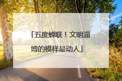 五度蝉联！文明淄博的模样最动人
