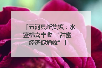 五河县新集镇：水蜜桃喜丰收 “甜蜜经济促增收”