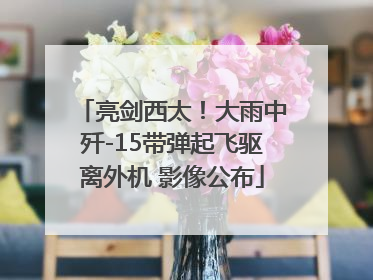 亮剑西太！大雨中歼-15带弹起飞驱离外机 影像公布