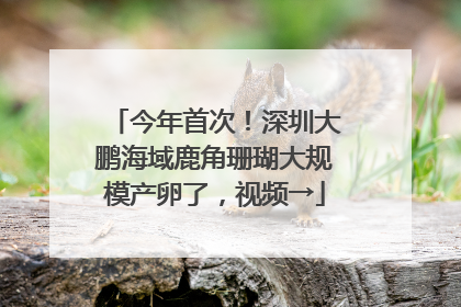 今年首次！深圳大鹏海域鹿角珊瑚大规模产卵了，视频→