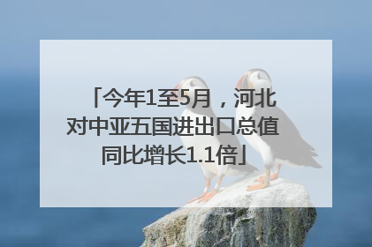今年1至5月，河北对中亚五国进出口总值同比增长1.1倍