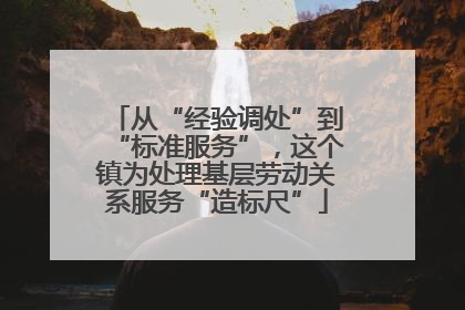 从“经验调处”到“标准服务”，这个镇为处理基层劳动关系服务“造标尺”