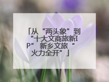 从“两头象”到“十大文商旅新IP” 新乡文旅“火力全开”