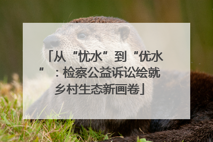 从“忧水”到“优水”：检察公益诉讼绘就乡村生态新画卷