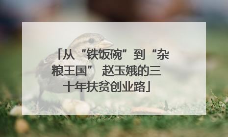 从“铁饭碗”到“杂粮王国” 赵玉娥的三十年扶贫创业路