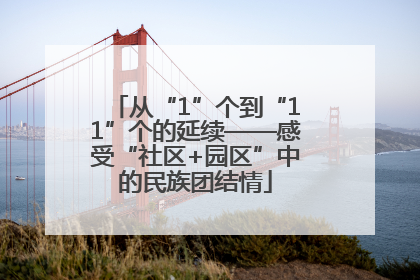 从“1”个到“11”个的延续——感受“社区+园区”中的民族团结情