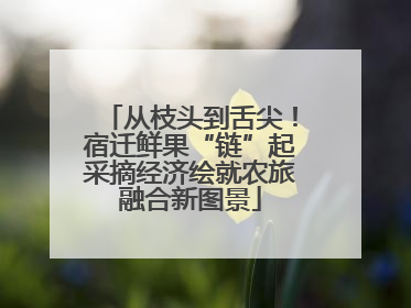 从枝头到舌尖！宿迁鲜果“链”起采摘经济绘就农旅融合新图景