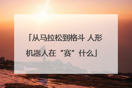 从马拉松到格斗 人形机器人在“赛”什么