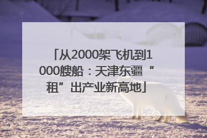 从2000架飞机到1000艘船：天津东疆“租”出产业新高地