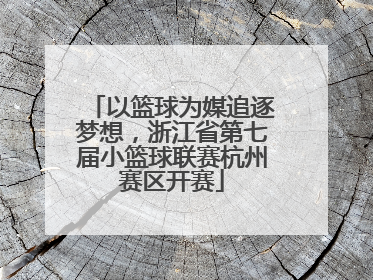 以篮球为媒追逐梦想，浙江省第七届小篮球联赛杭州赛区开赛