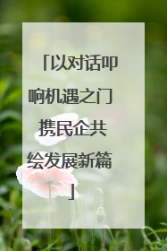 以对话叩响机遇之门 携民企共绘发展新篇