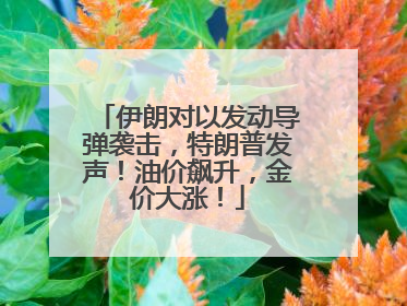 伊朗对以发动导弹袭击，特朗普发声！油价飙升，金价大涨！