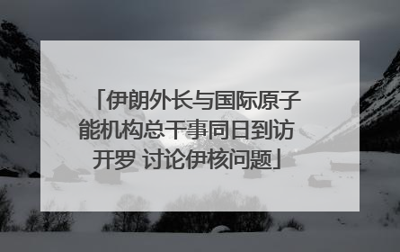 伊朗外长与国际原子能机构总干事同日到访开罗 讨论伊核问题