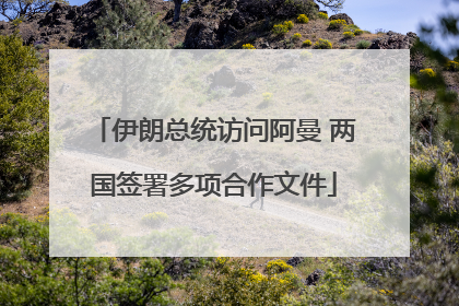 伊朗总统访问阿曼 两国签署多项合作文件