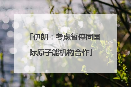伊朗：考虑暂停同国际原子能机构合作