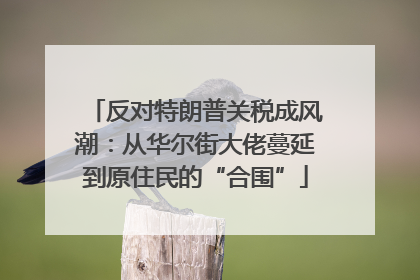 反对特朗普关税成风潮：从华尔街大佬蔓延到原住民的“合围”