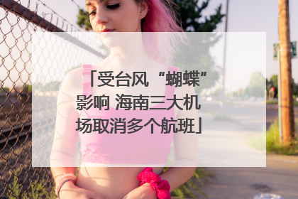 受台风“蝴蝶”影响 海南三大机场取消多个航班