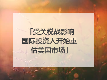 受关税战影响 国际投资人开始重估美国市场