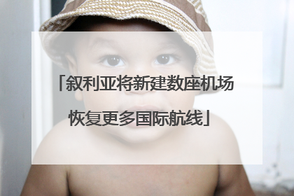 叙利亚将新建数座机场 恢复更多国际航线