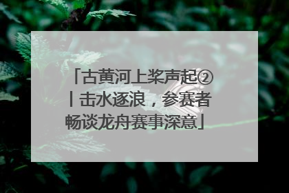 古黄河上桨声起②丨击水逐浪，参赛者畅谈龙舟赛事深意