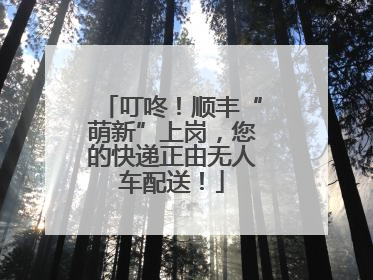 叮咚！顺丰“萌新”上岗，您的快递正由无人车配送！