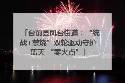 台前县凤台街道：“统战+禁烧”双轮驱动守护蓝天 “零火点”