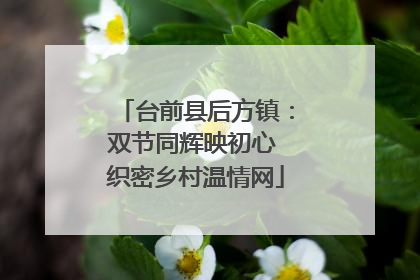 台前县后方镇：双节同辉映初心 织密乡村温情网