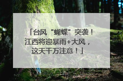 台风“蝴蝶”突袭！江西将迎暴雨+大风，这天千万注意！