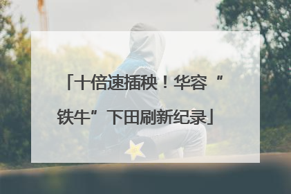 十倍速插秧！华容“铁牛”下田刷新纪录